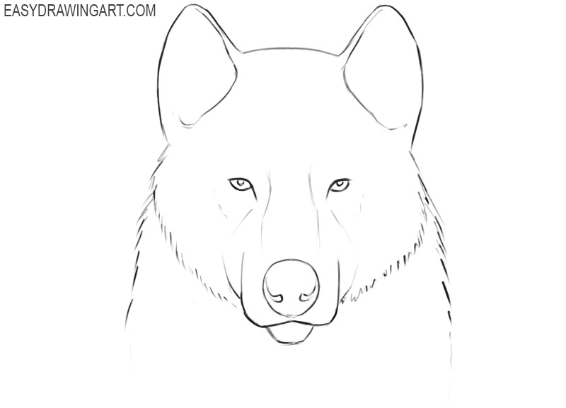how to draw a wolf face easy step by step