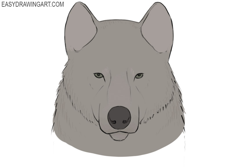 how to draw a wolf face