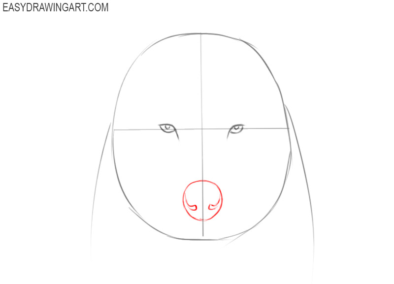 how to draw an easy wolf face