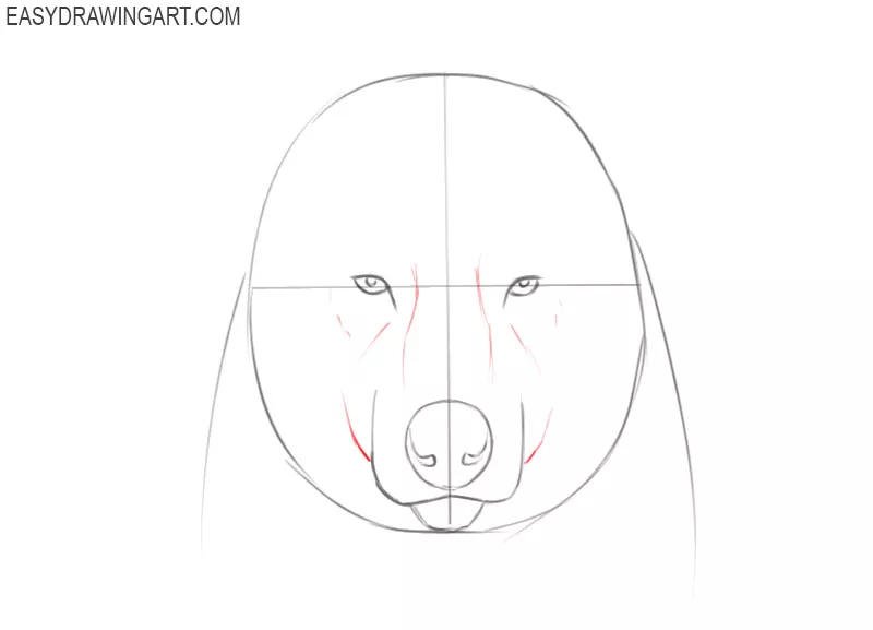 how to draw a wolf face step by step for beginners