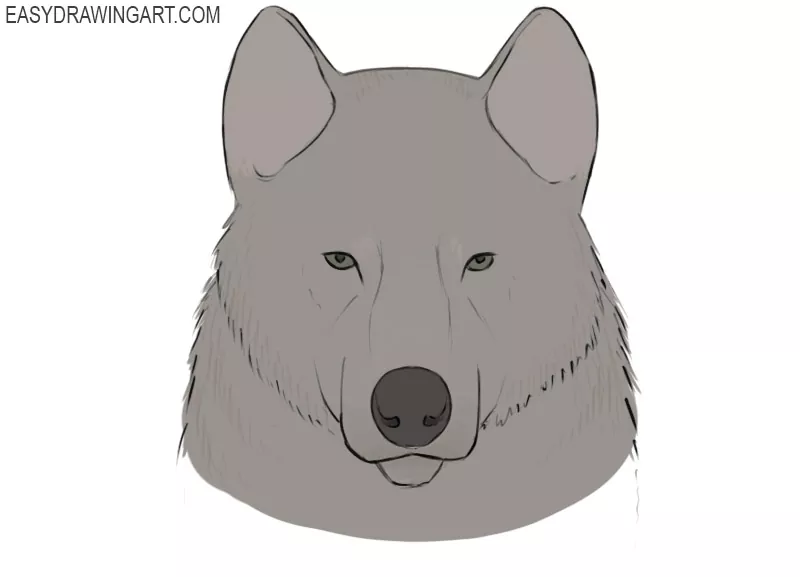 how to draw a wolf face easy drawing art how to draw a wolf face easy drawing art