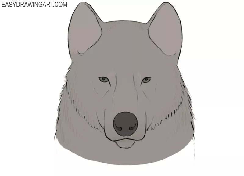how to draw a wolf face