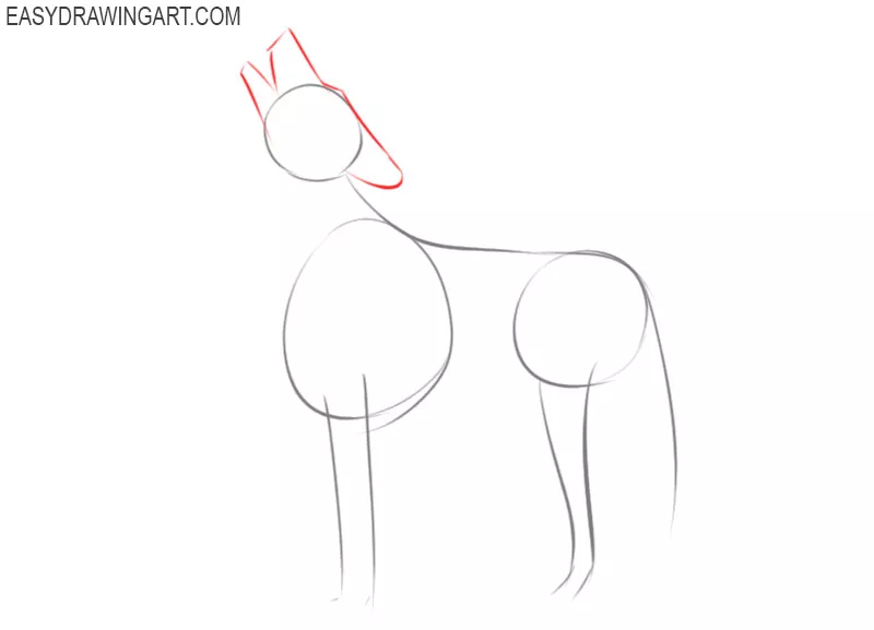 how to draw a wolf for kids
