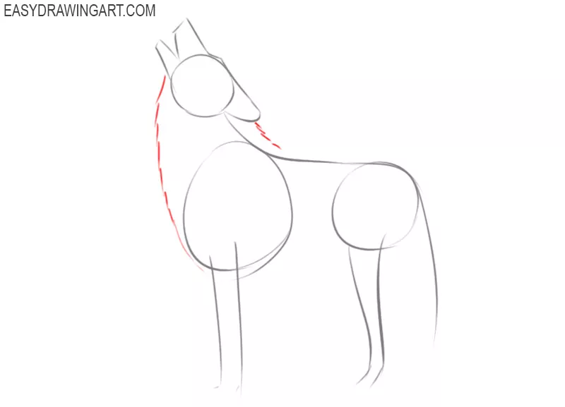 pictures of how to draw a wolf