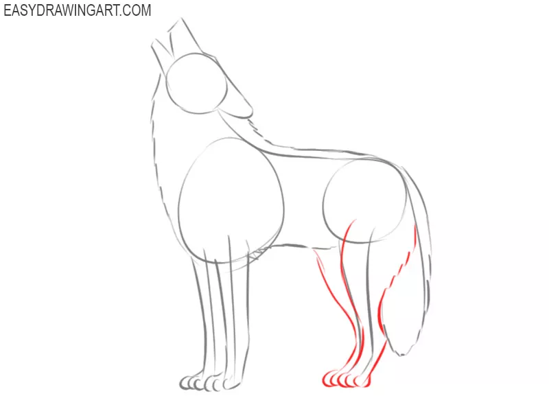 pic of how to draw a wolf