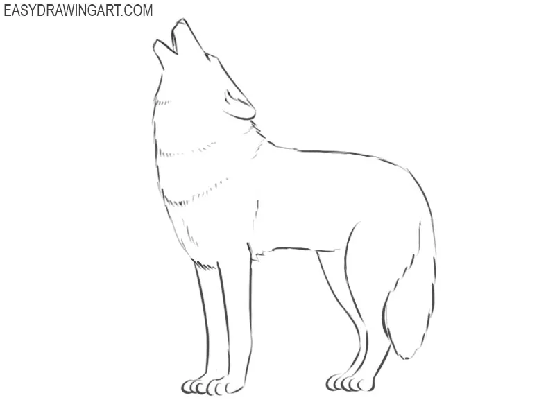 how to draw a wolf cartoon easy