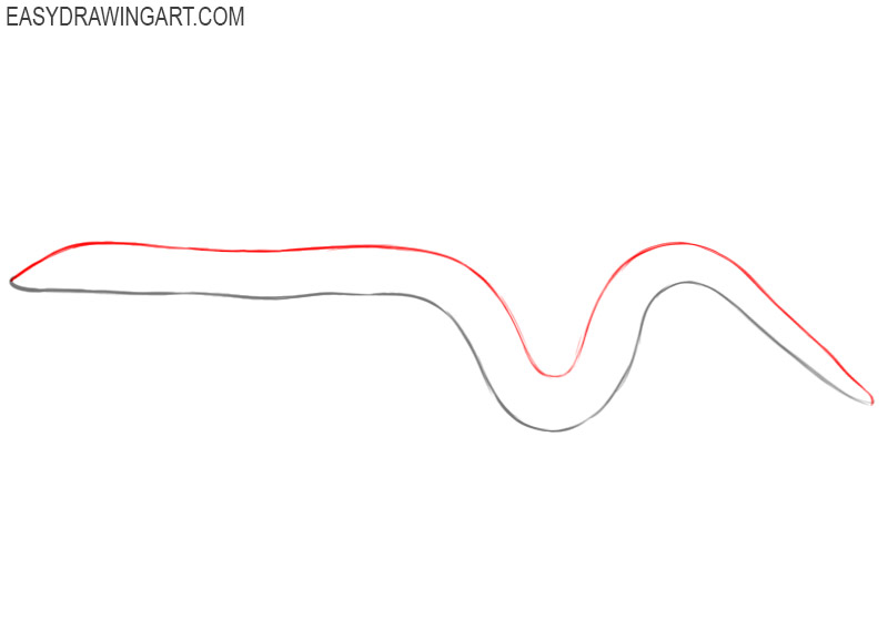 how to draw a worm step by step