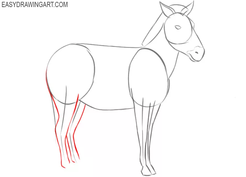 how to draw a zebra easily