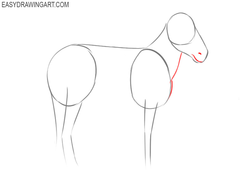 how to draw a zebra easy step by step