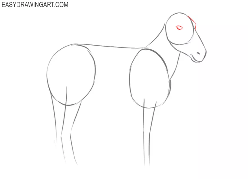 how to draw a zebra from the side