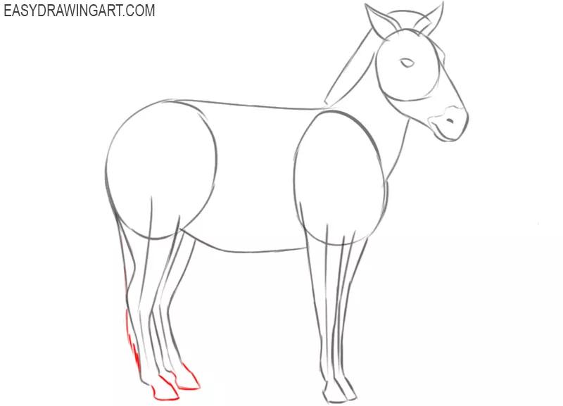 how to draw a zebra images