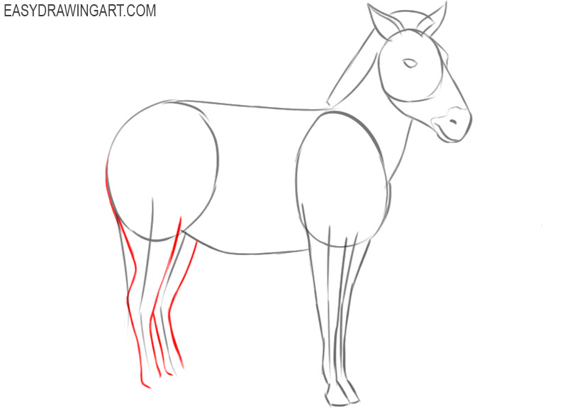 how to draw a zebra easily