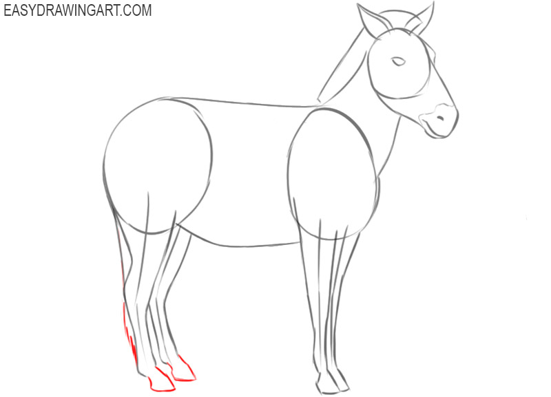 how to draw a zebra images