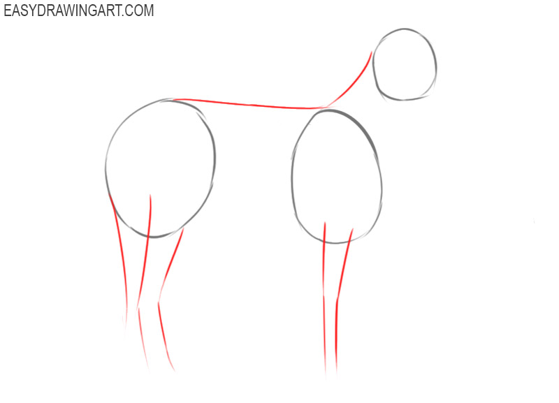 how to draw a zebra step by step