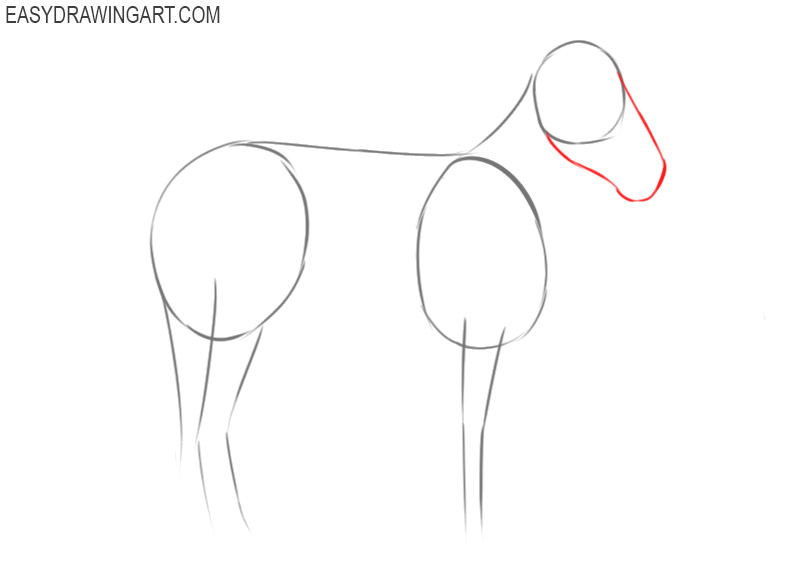 how to draw a zebra for kids