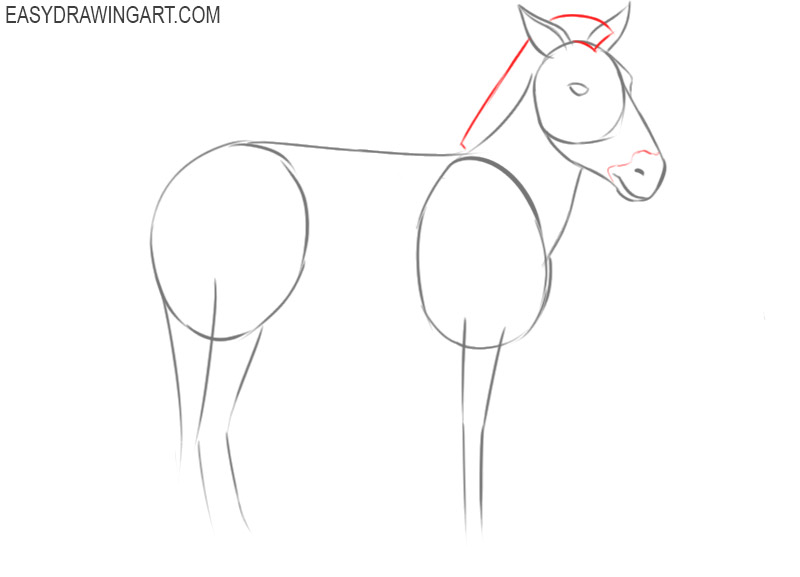 how to draw a zebra cute