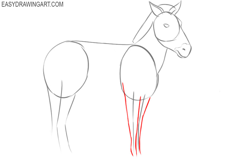 how to draw a cartoon zebra easy