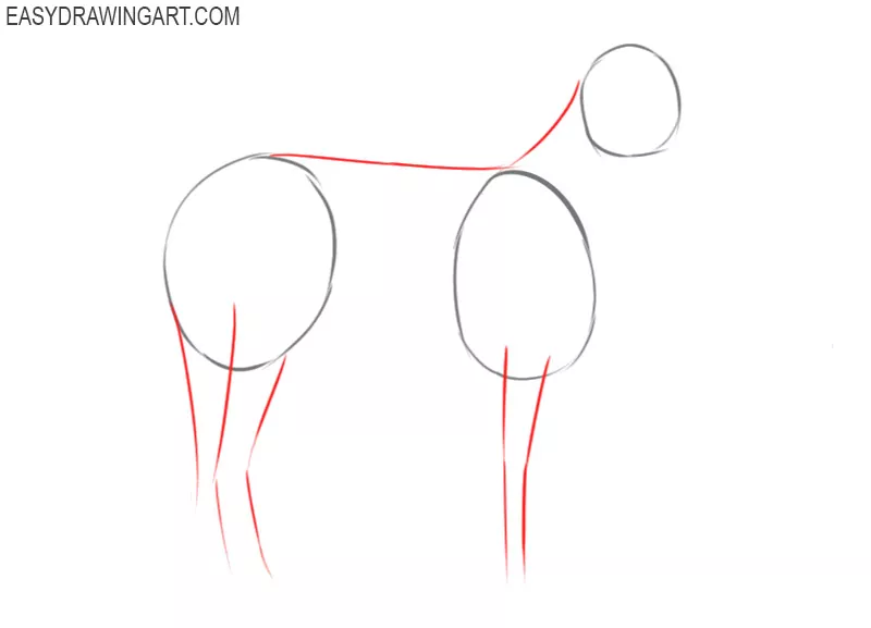 how to draw a zebra step by step