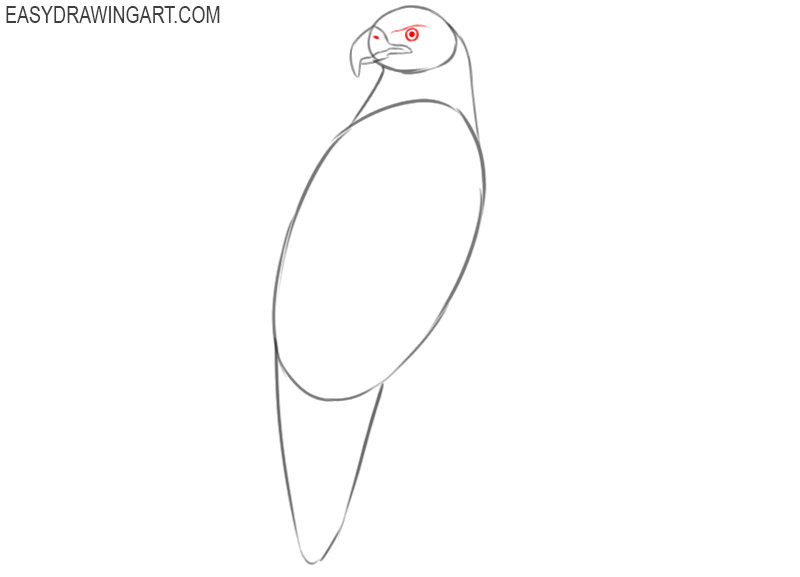 how to draw an eagle for kids