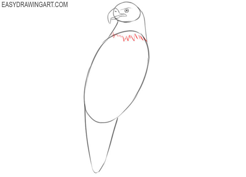 how to draw an eagle full body