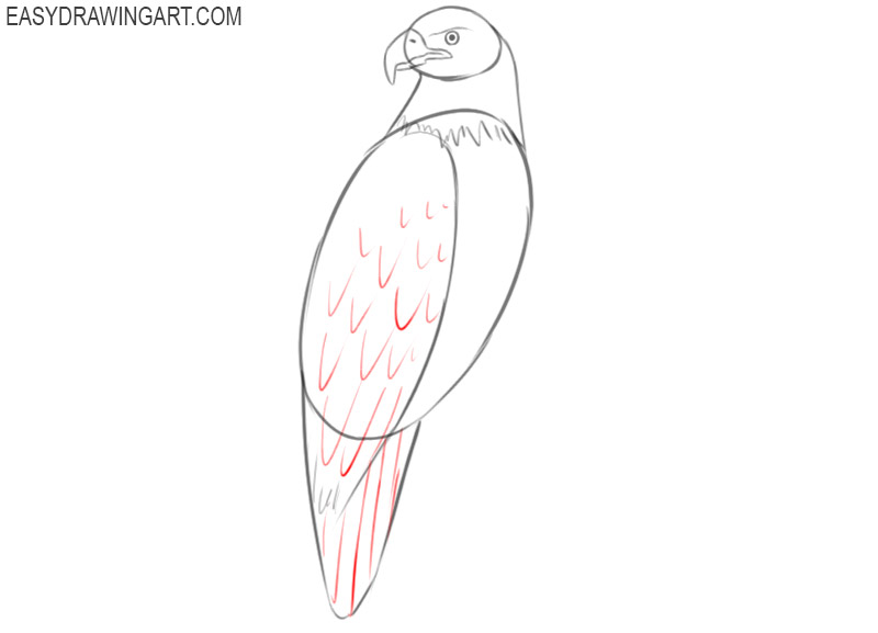 how to draw an easy cartoon eagle
