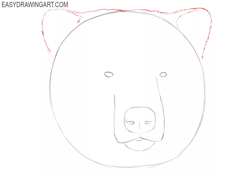 how to draw an easy bear head