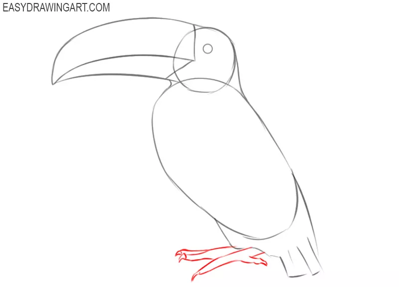 how to draw an easy cartoon toucan
