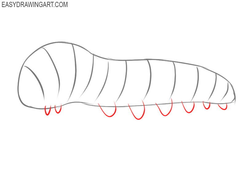 how to draw an easy caterpillar