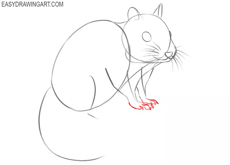 how to draw an easy chipmunk