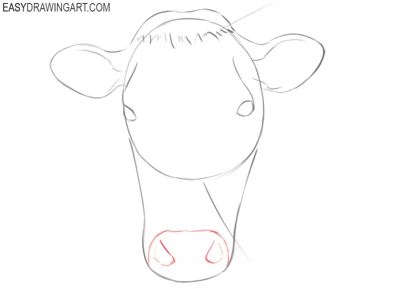 how to draw an easy cow face