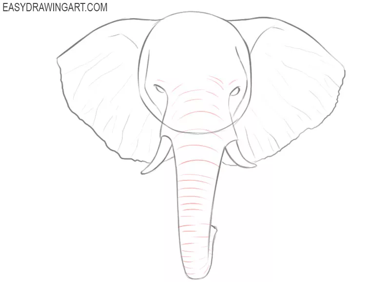 how to draw an easy elephant head step by step