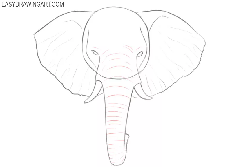 african elephant face drawing