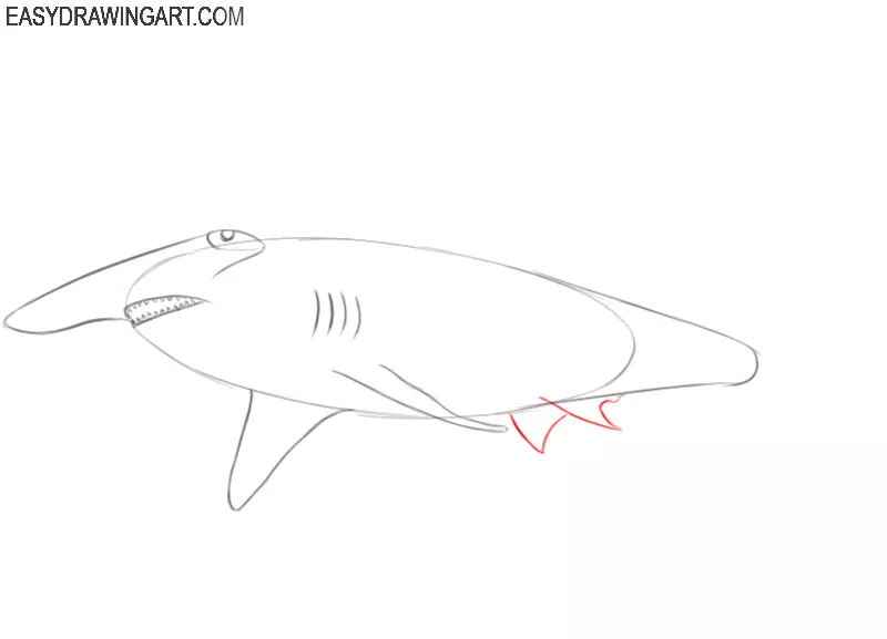 how to draw an easy hammerhead shark