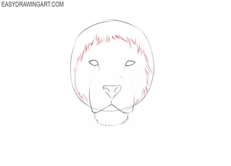 how to draw an easy lion head