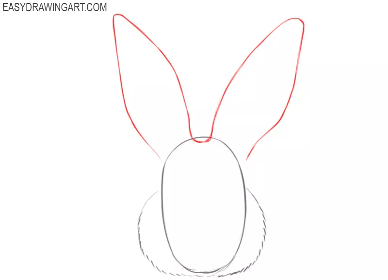 how to draw an easy rabbit face