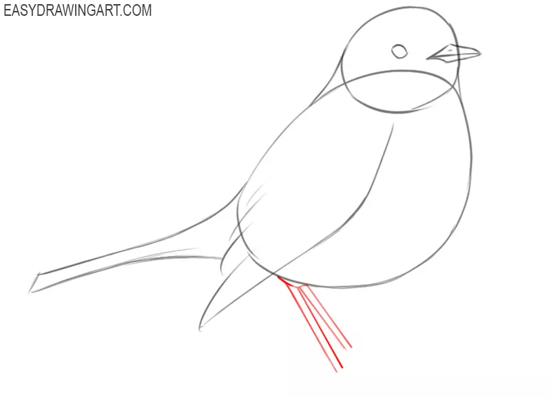 how to draw an easy robin bird