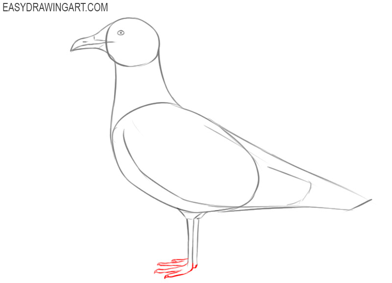 how to draw an easy seagull