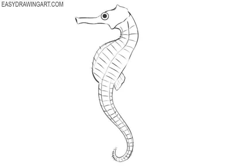 how to draw an easy seahorse step by step