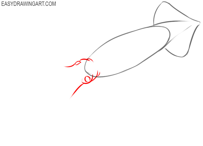 how to draw an easy squid
