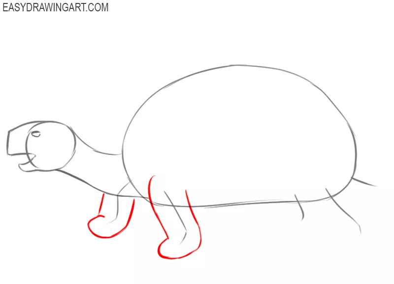 how to draw an easy tortoise