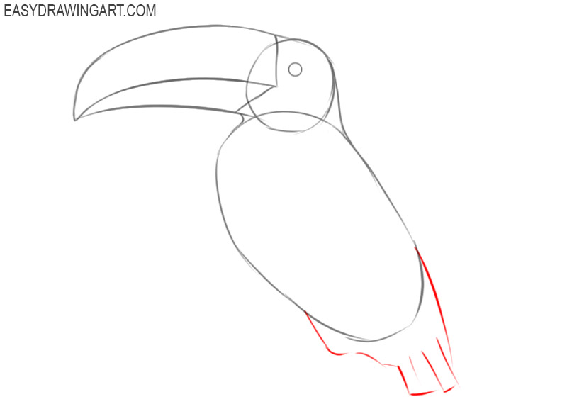 how to draw an easy toucan
