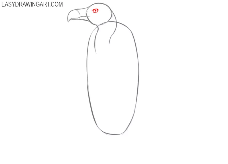 how to draw an easy vulture
