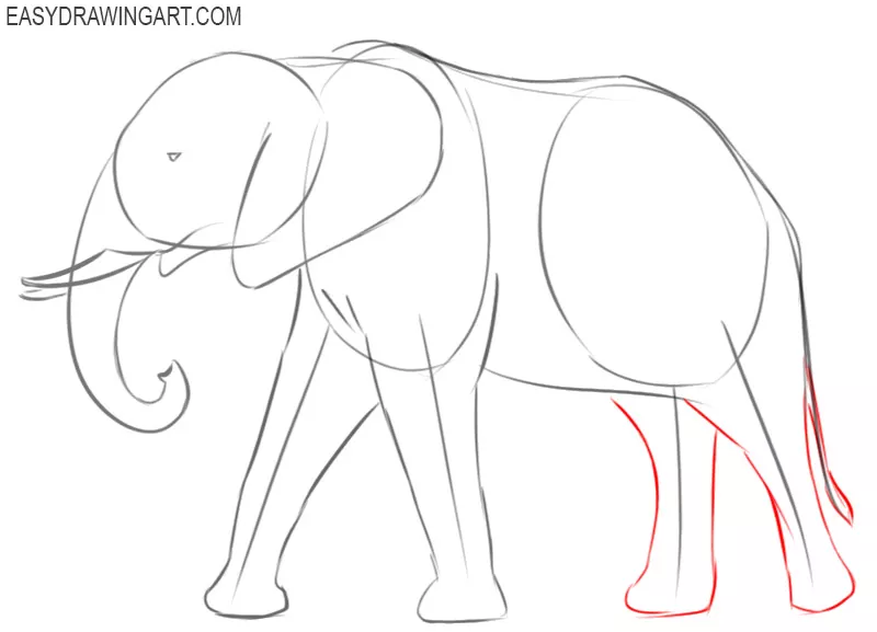 how to draw an elephant for beginners