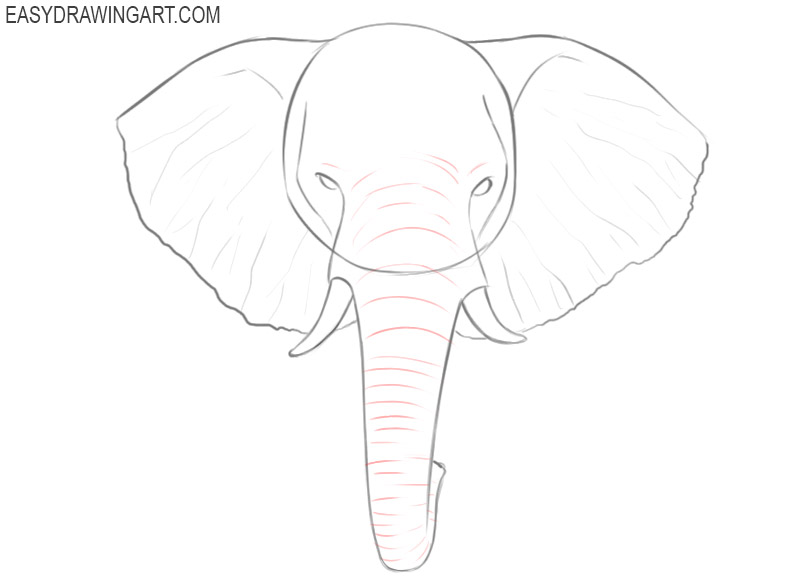 how to draw an easy elephant head step by step