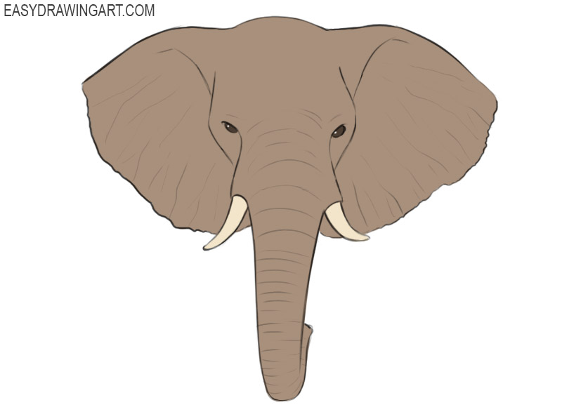 how to draw an elephant head