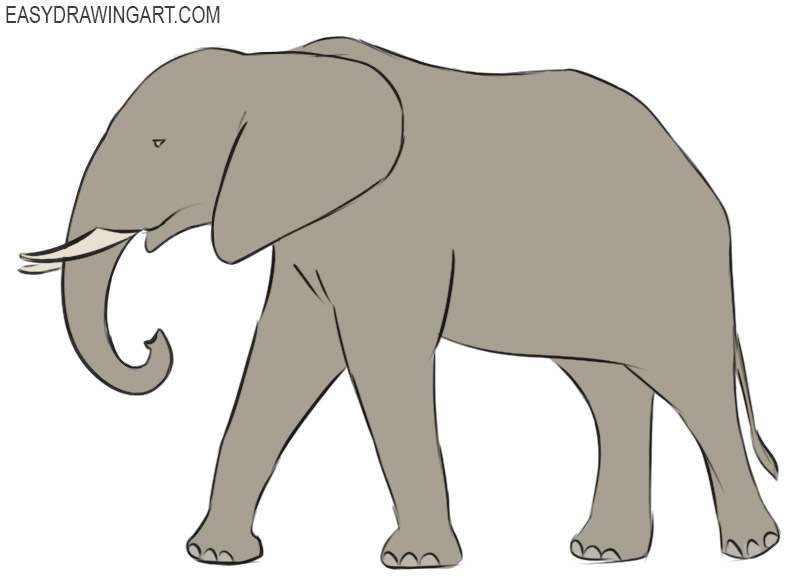 How to Draw an Elephant