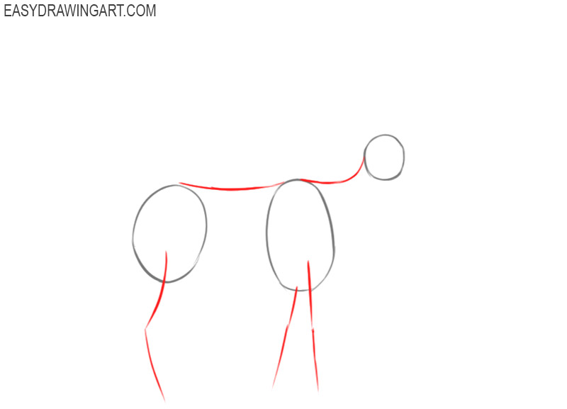 how to draw an elk step by step