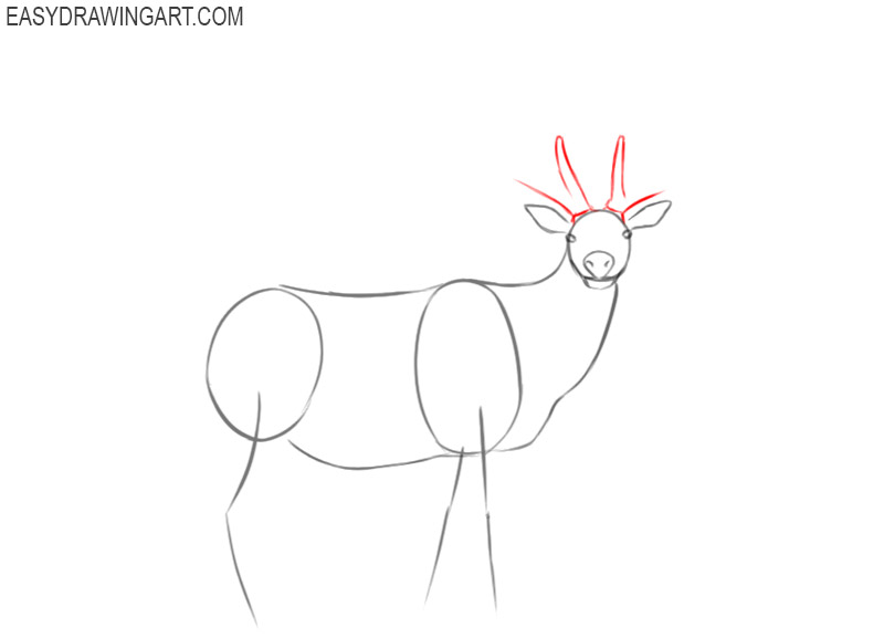 elk drawing results