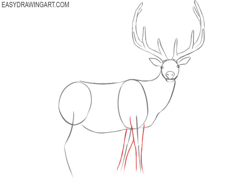 elk drawing images