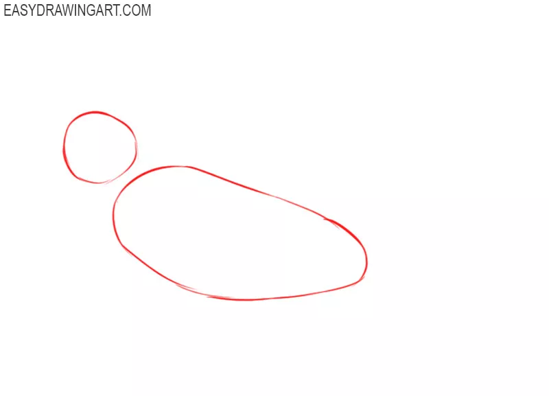 how to draw an iguana easy